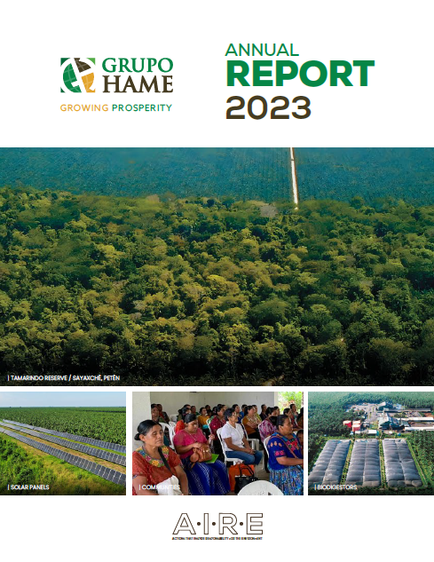 Imagen sobre Annual Report