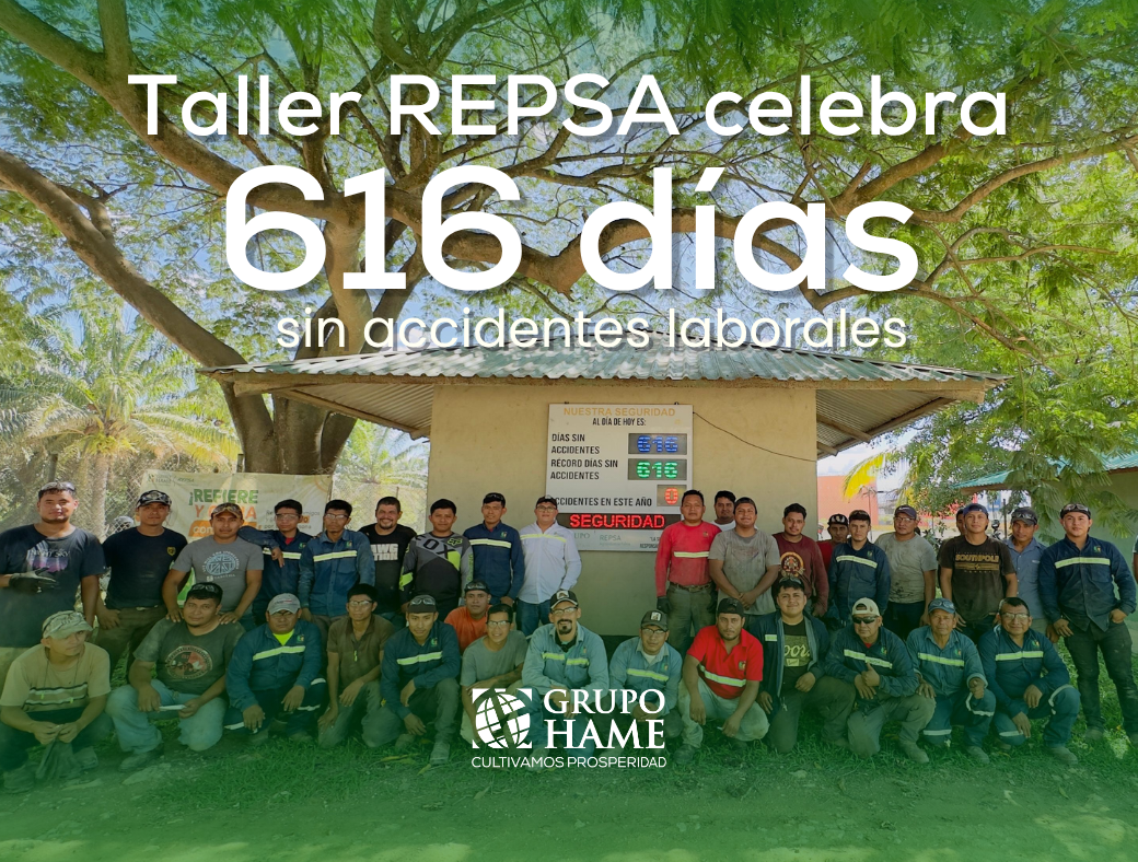 REPSA Grupo HAME