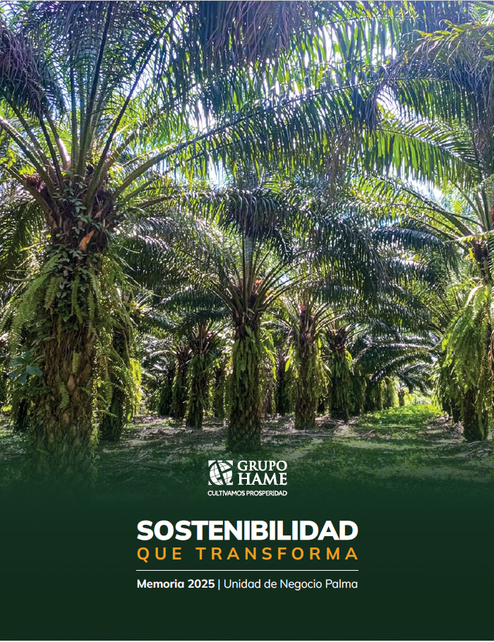 Imagen sobre Informe de Sostenibilidad